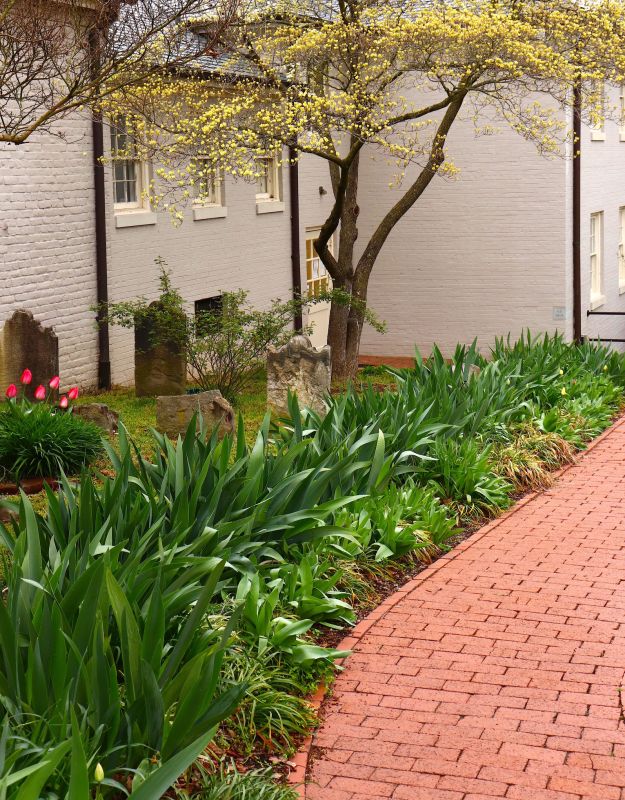 Brick Pathway Repair in Canton, GA